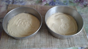 Pour the mixture into the prepared tins and bake for 25 - 30 minutes until the tops are just firm and springy to the touch. 
